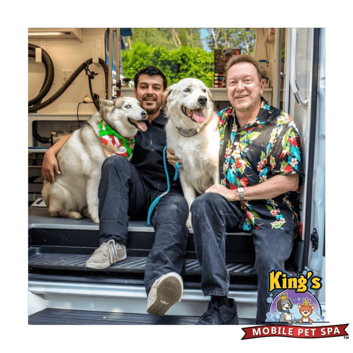 bluehubs-digital-marketing-hub-case-study